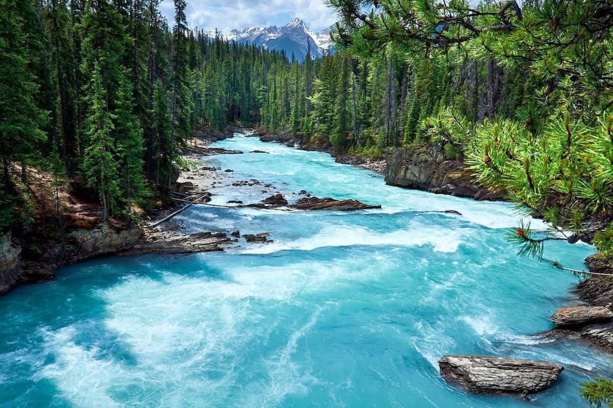 British Columbia holds largest provincial immigration selection round this year