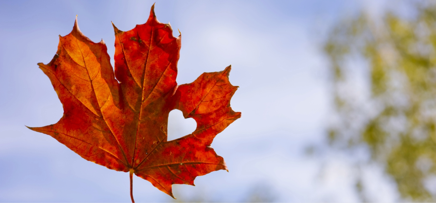 Do I Qualify for Canadian Citizenship by Descent? A Guide for Americans