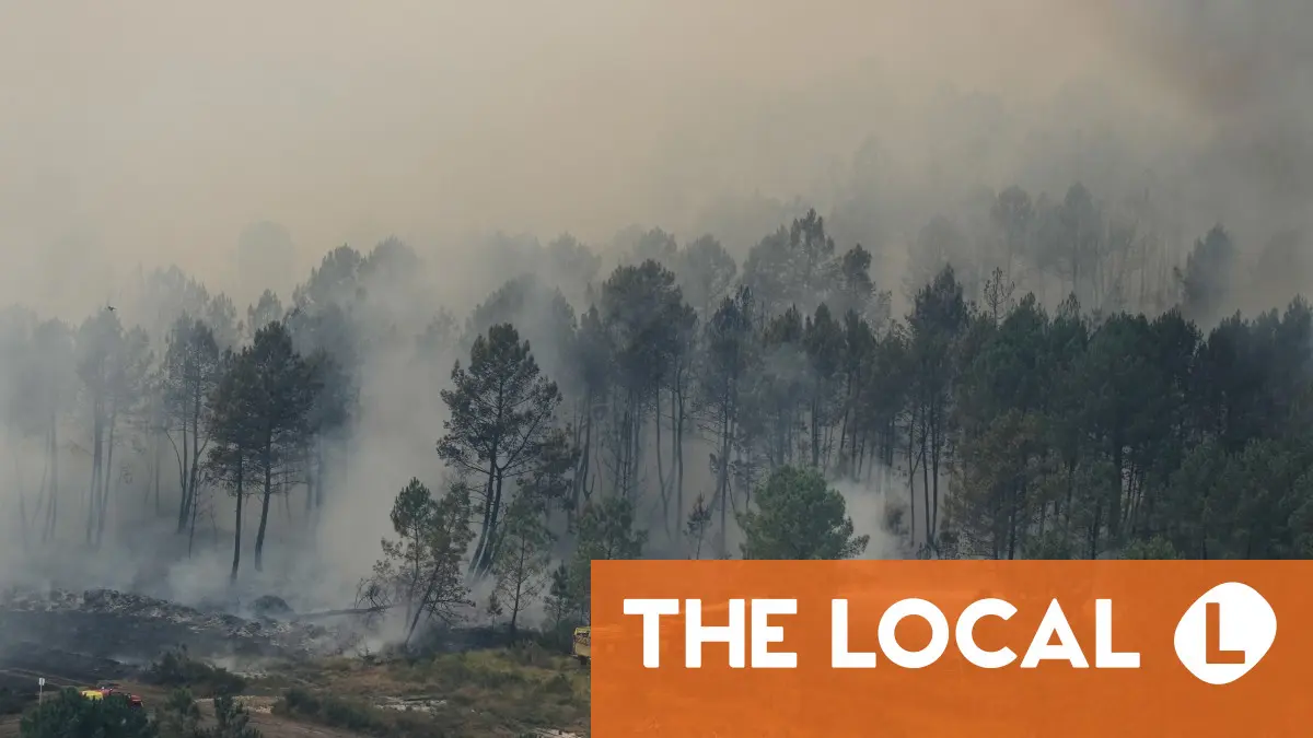 France's wildfire situation eases as situation in Gironde stabilises