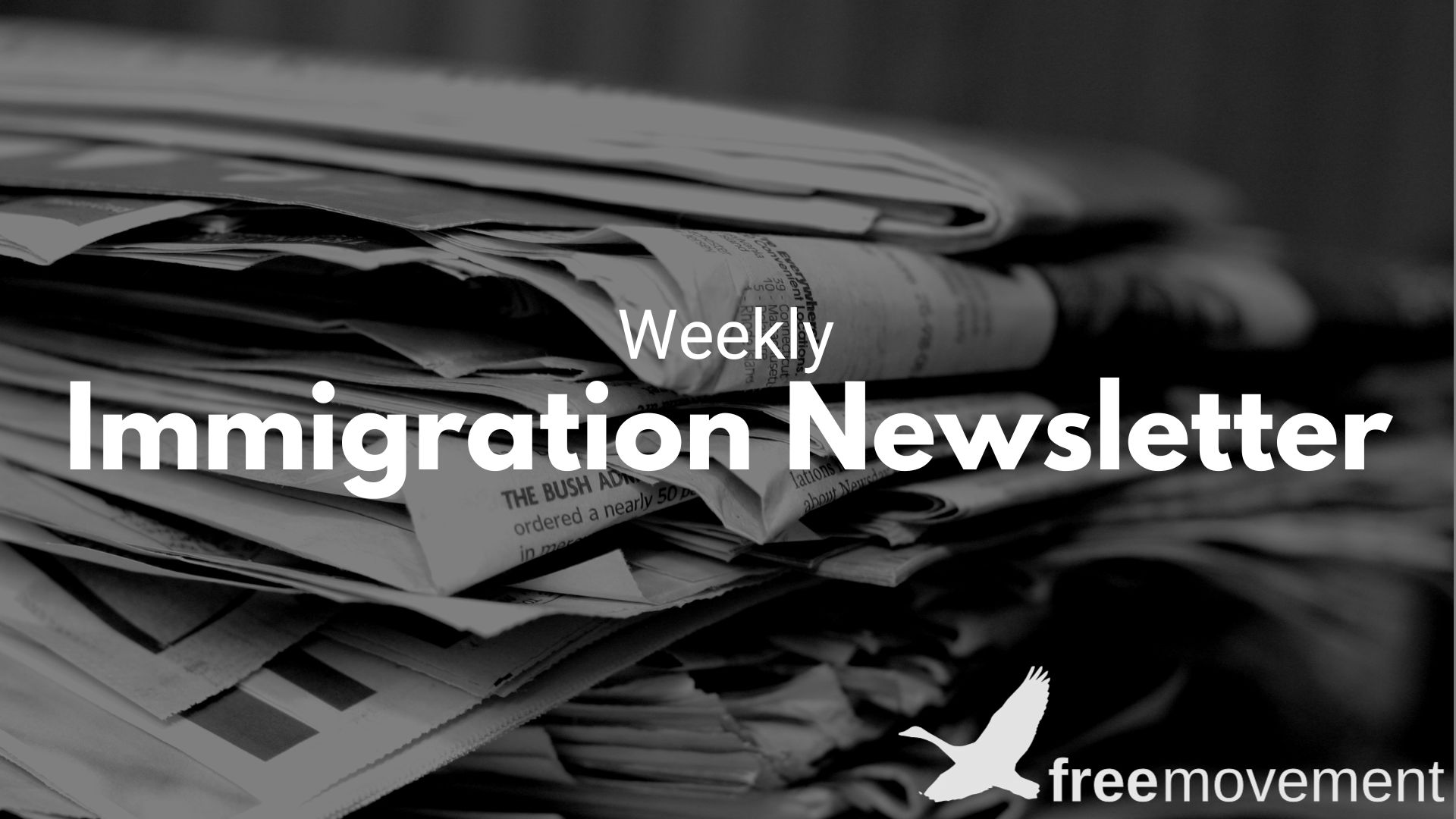 Free Movement Weekly Immigration Newsletter #131