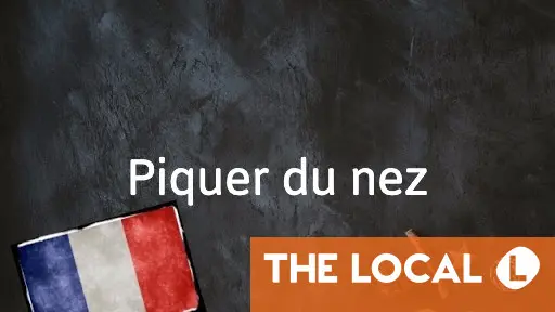 French Expression of the Day: Piquer du nez