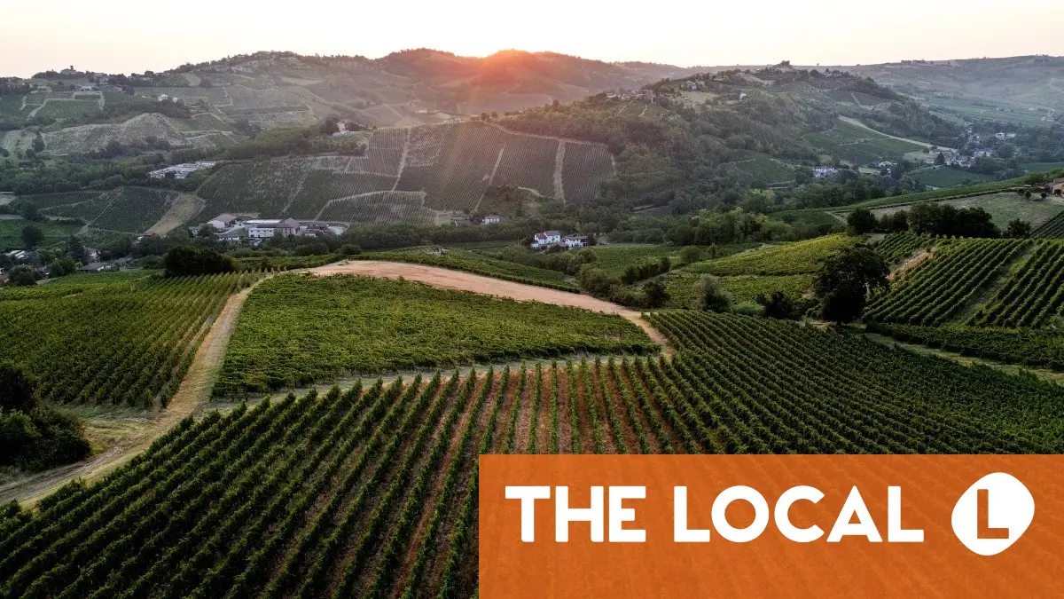 French and Italian winegrowers face earliest ever harvest