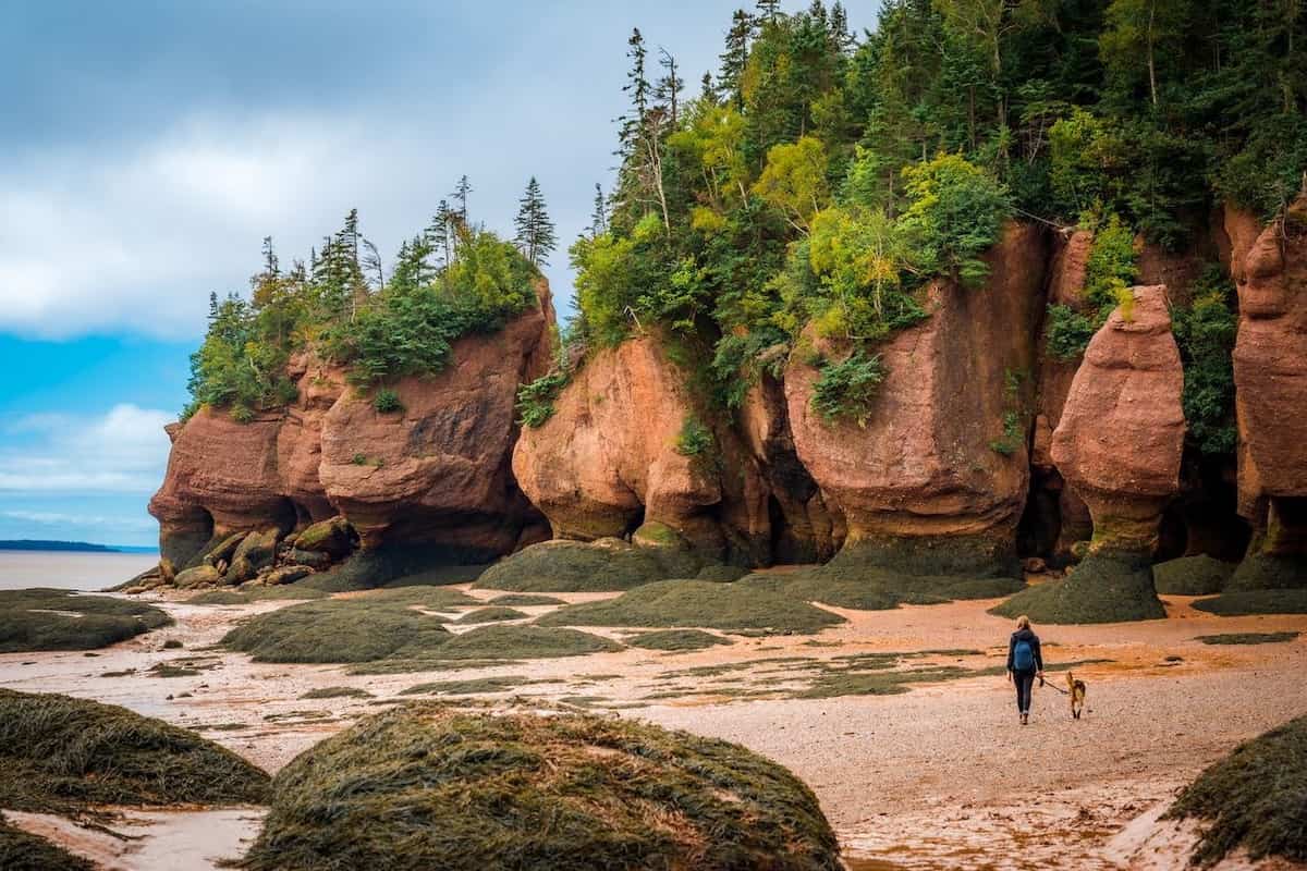New Brunswick issues 750 invitations for provincial immigration