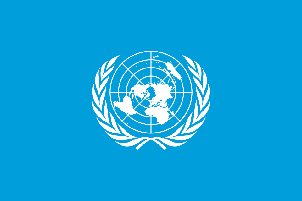 UN expert stresses that tougher migration policies must not breach the principle of non-refoulement to torture