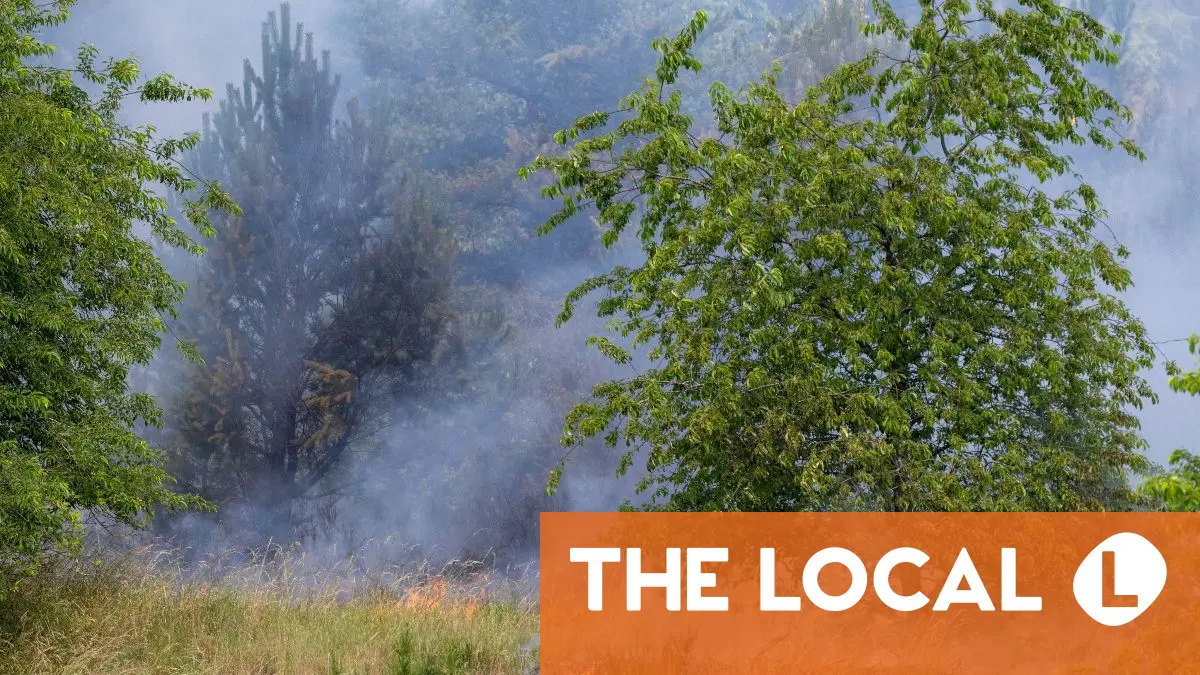 Where in Germany faces the highest risk of wildfires