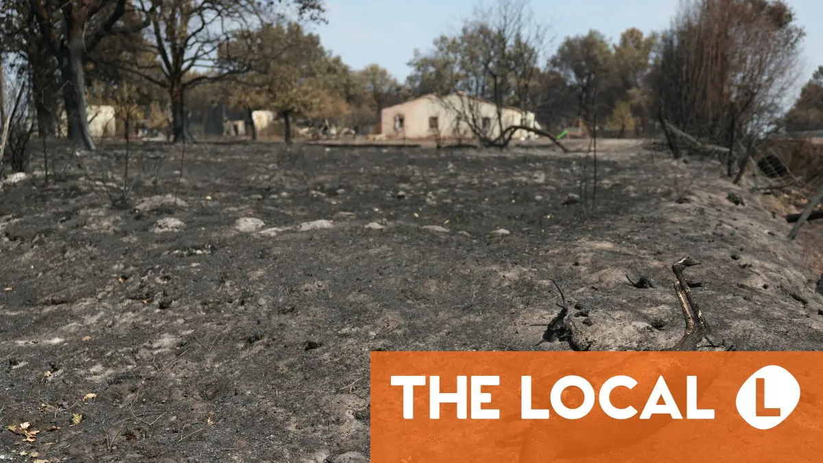 Wildlife face 'catastrophic' losses as France's forests burn