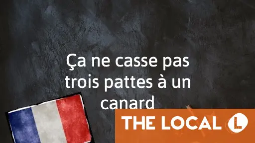 Ça ne casse pas trois pattes à un canard