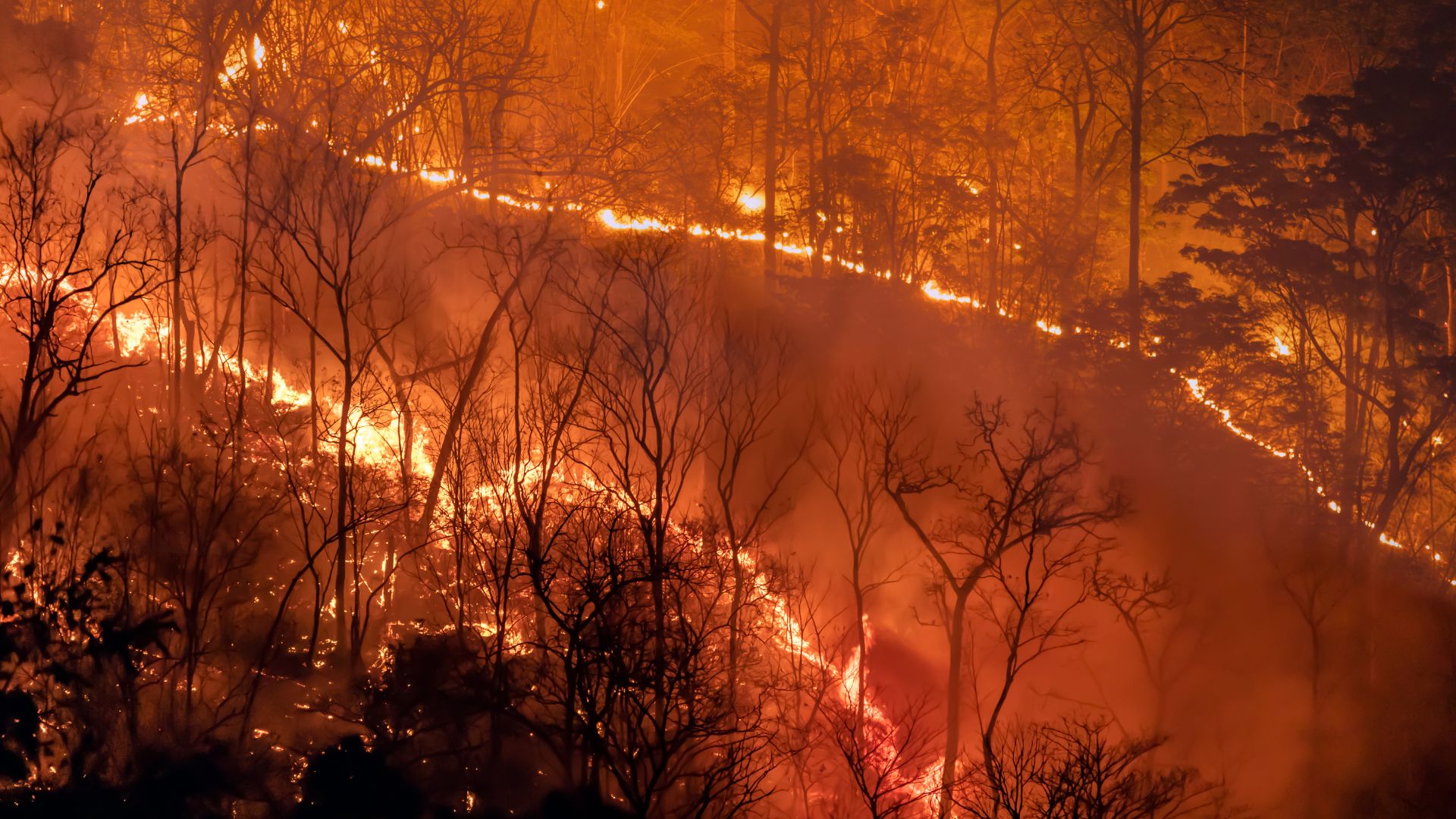 Climate mobility in 2026: from legal theory to practice