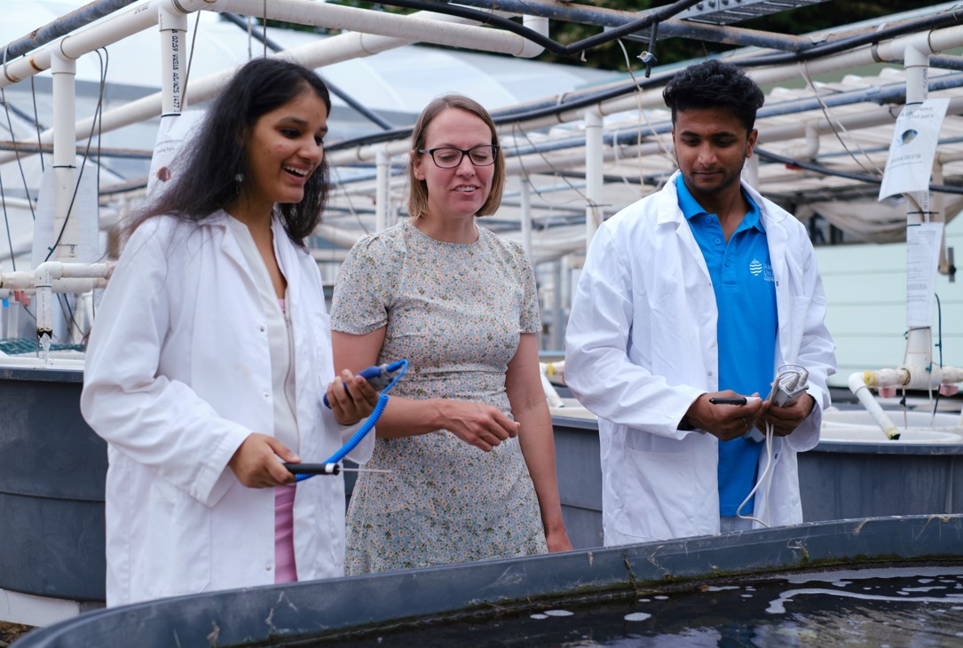 How To Find Part-Time Jobs as an International Student in Townsville