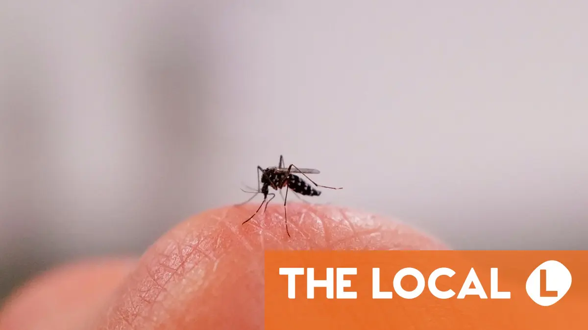 Mosquitoes, cold calls, big tech and other irritants